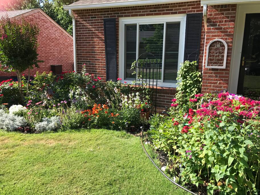 Front yard