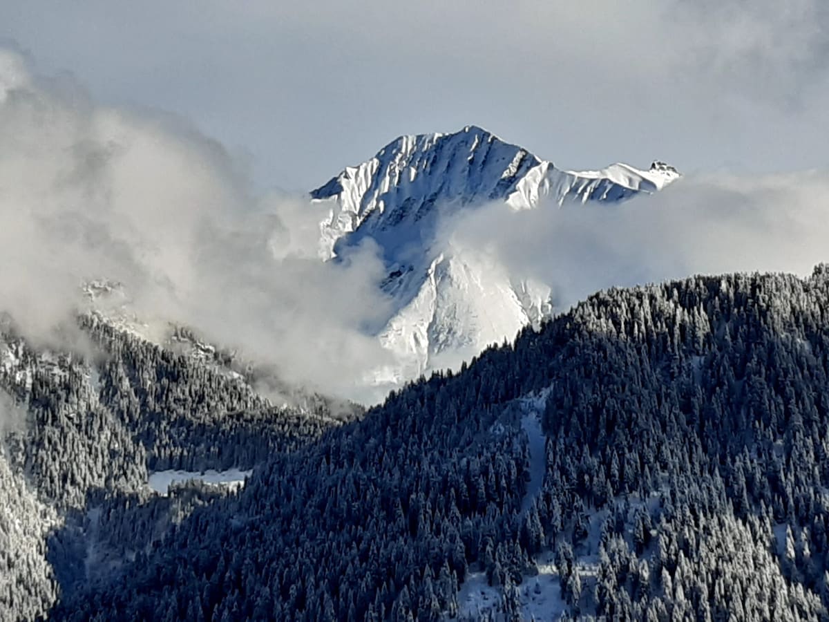 Mountains are depicted blanketed in fresh snow, with peaks visible through patches of cloud. A lush forest of evergreen trees lies in the foreground, creating a contrast against the snow-covered landscape. The scene reflects a serene and untouched winter environment.