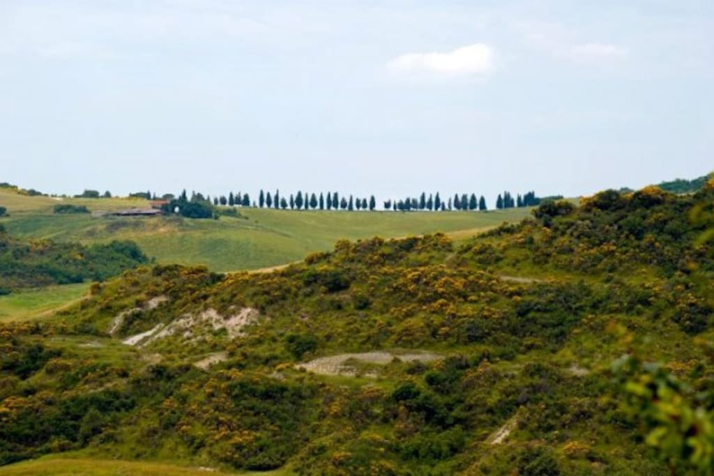 Palazzo Conti B - Panoramic view