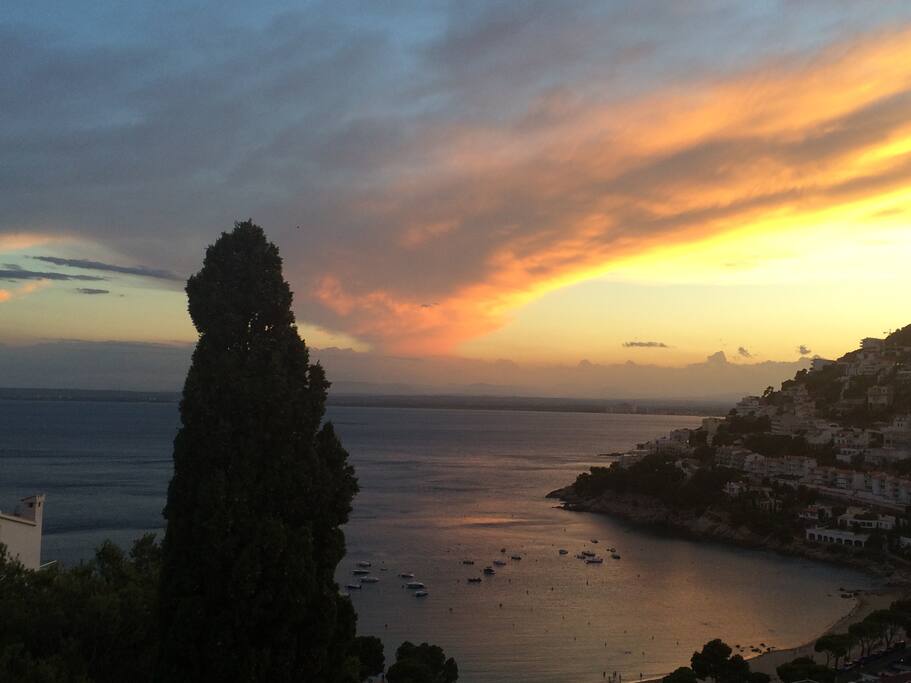 Evening view