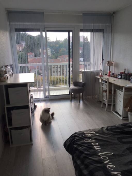 chambre 13 m