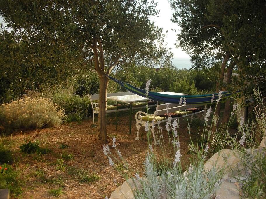 Natural Garden. This photo do not need a special description.