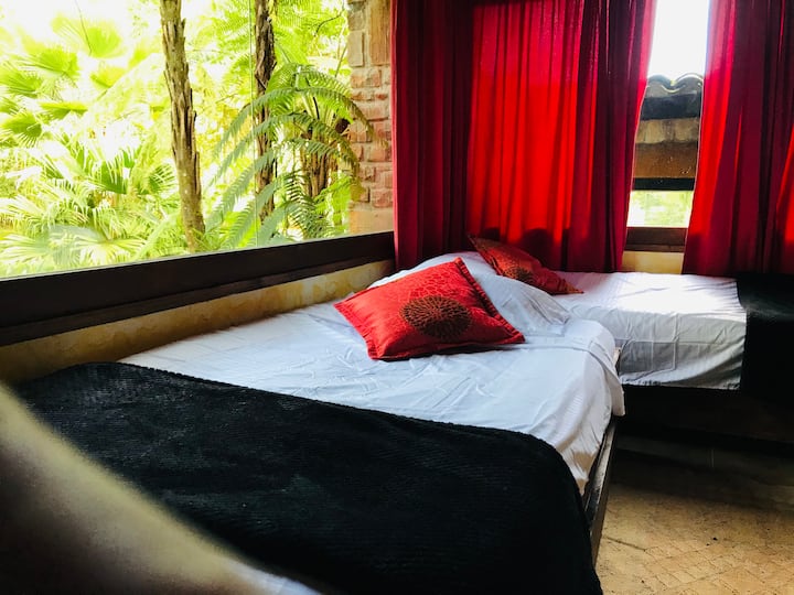 Habitación 1