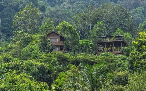 Templer Park Rainforest Retreat - Villa
