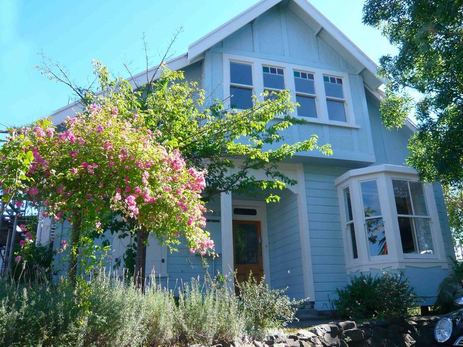 Large 2Story Harbour Villa (1898) Houses for Rent in Gisborne