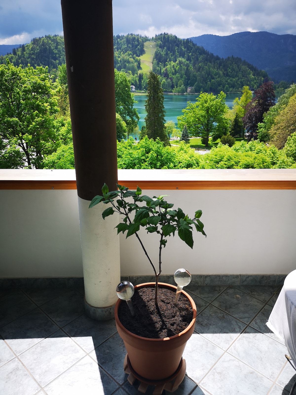 A potted plant is positioned on the terrace, featuring decorative glass spheres. The lush greenery of Lake Bled's surroundings is visible in the background, complemented by distant hills and a bright sky, enhancing the tranquil outdoor space.