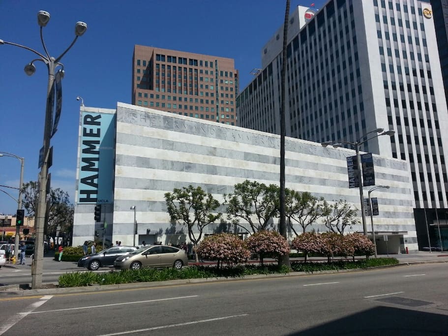 Hammer Museum의 사진