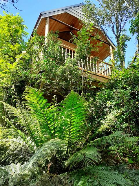 Ark Ranch Treehouse, rainforest oasis in West Cork