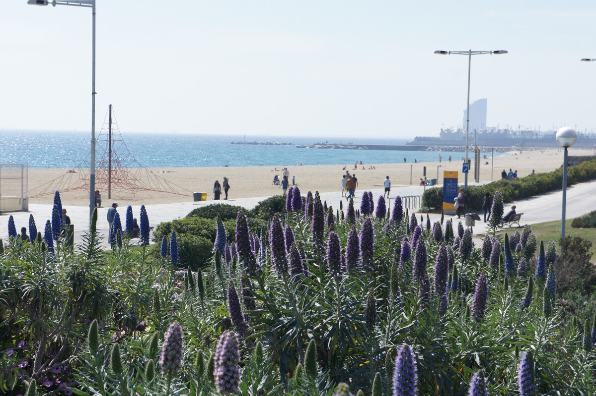 Download Bella casa a la platja Free HD Bella Casa A La Platja