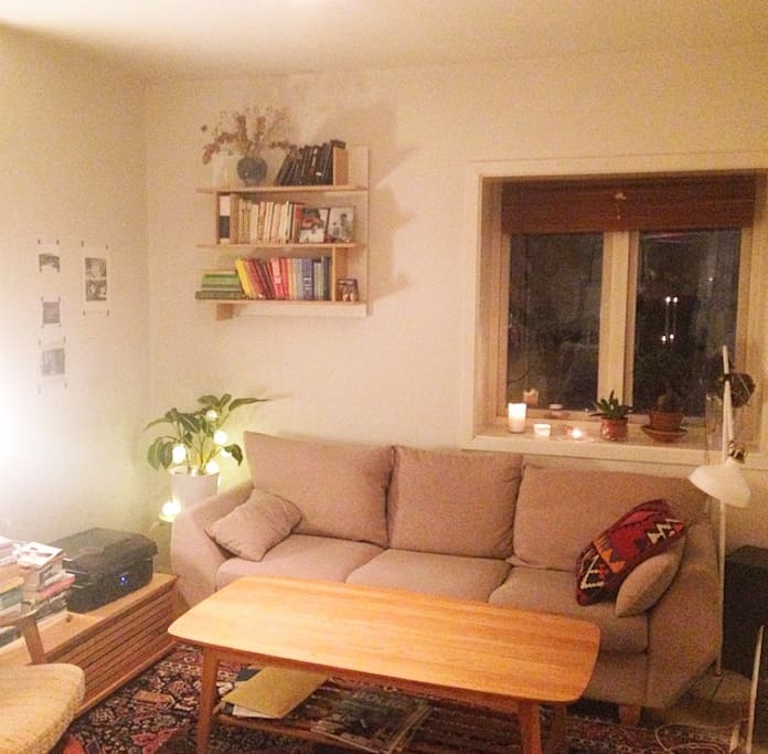 Livingroom with confortable sofa. The sofa functions well as an extra bed.