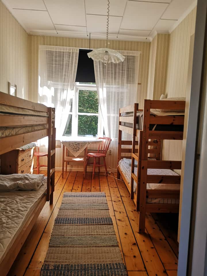 Luftige Wohnung von 49 m ² in der Nähe des Strandes von Homrevets - Airbnb