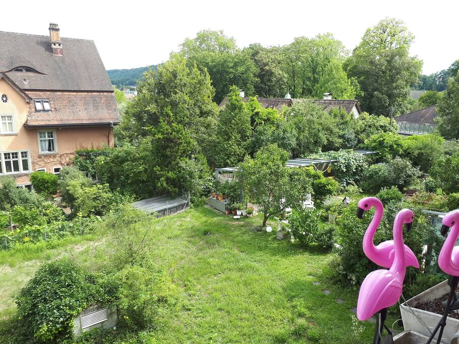 Aussicht Balkon