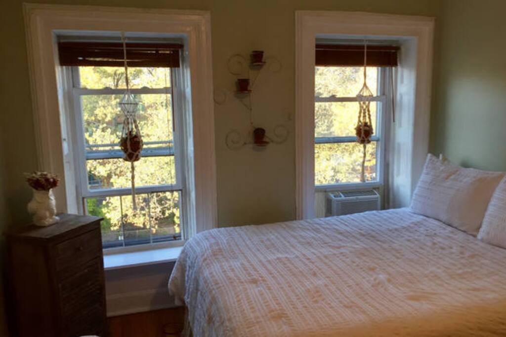 GUEST ROOM - lots of light
