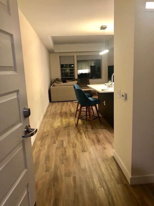 Front door entrance into apt, Guest bathroom is on the right.