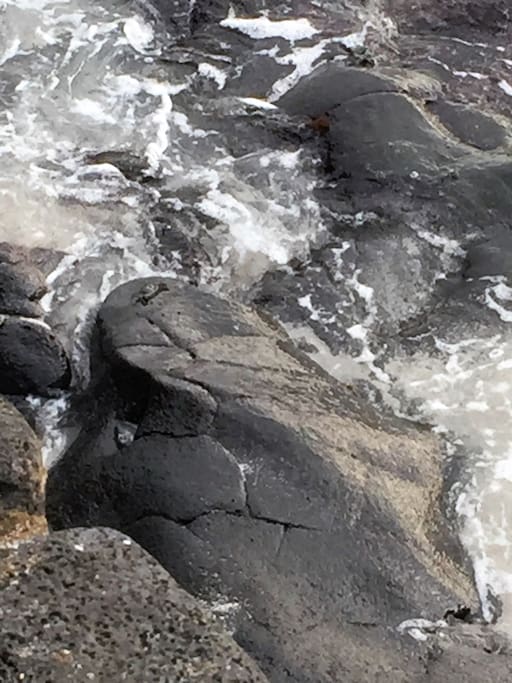 Tide pool at the beach