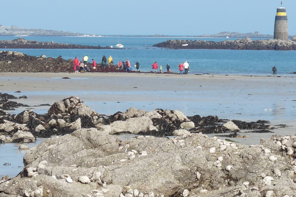 Plage de la comtesse