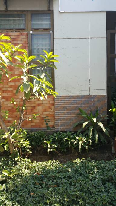 The outside of the house
