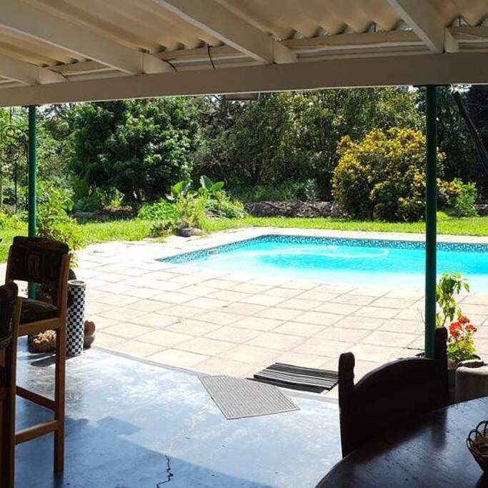 Large swimming pool