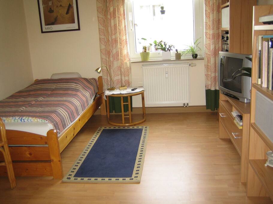 Wohn-Schlafzimmer mit 1 Bett