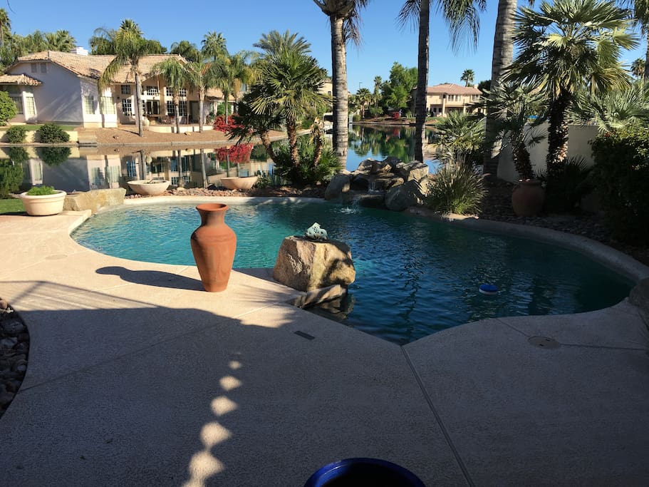 Pool in the back