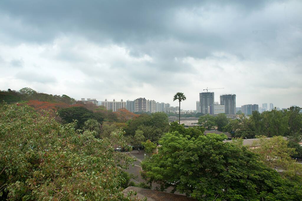 The neighbourhood. No adjoining buildings. Clear unobstructed view from the windows.