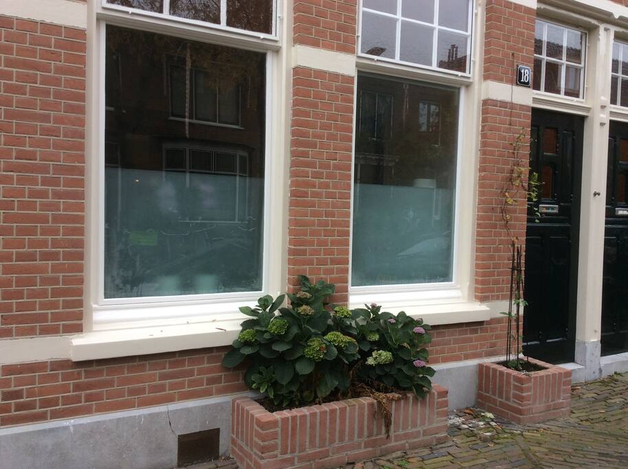 Windows facing street