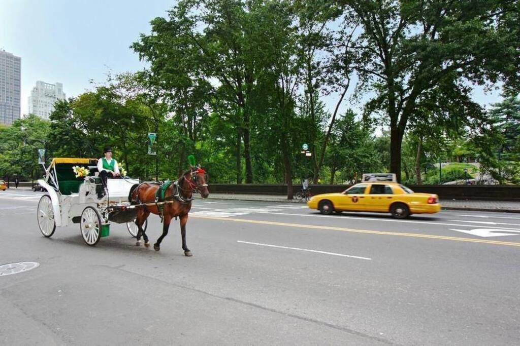 The Carriages that are outside the door.