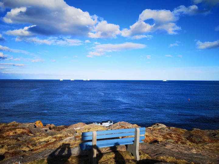 Petty HarbourMaddox Cove Vacation Rentals & Homes Newfoundland and