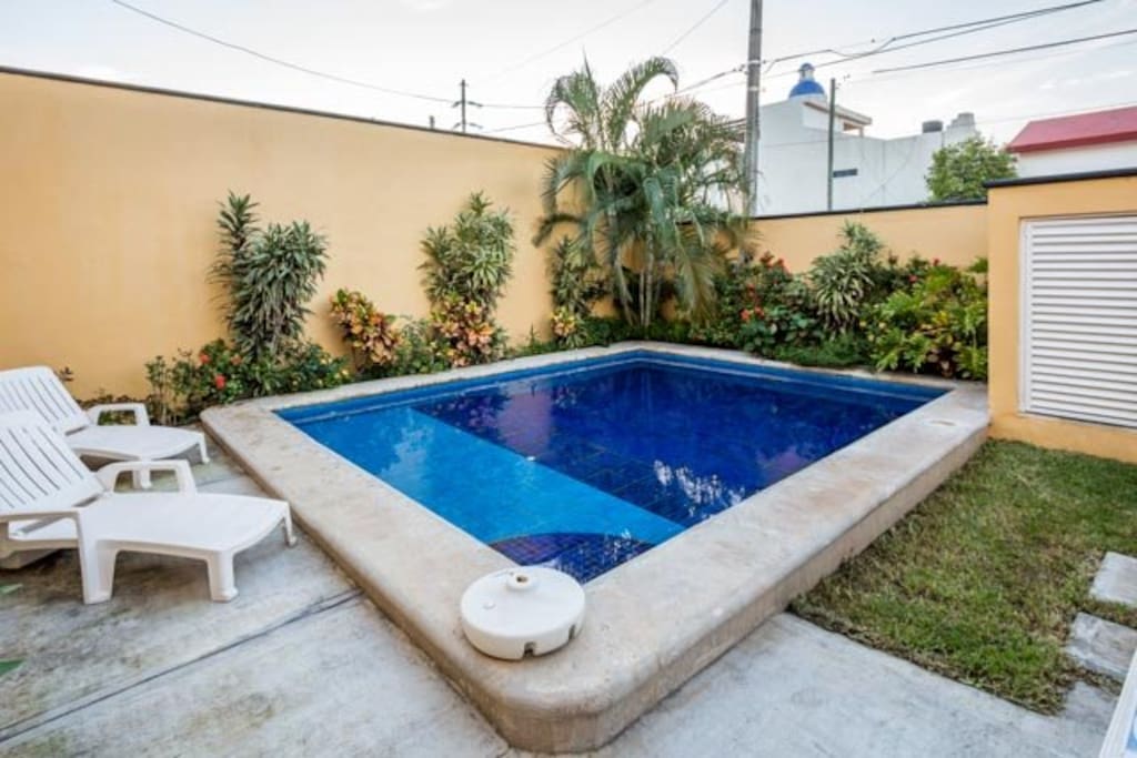 Backyard has a large pool with loungers