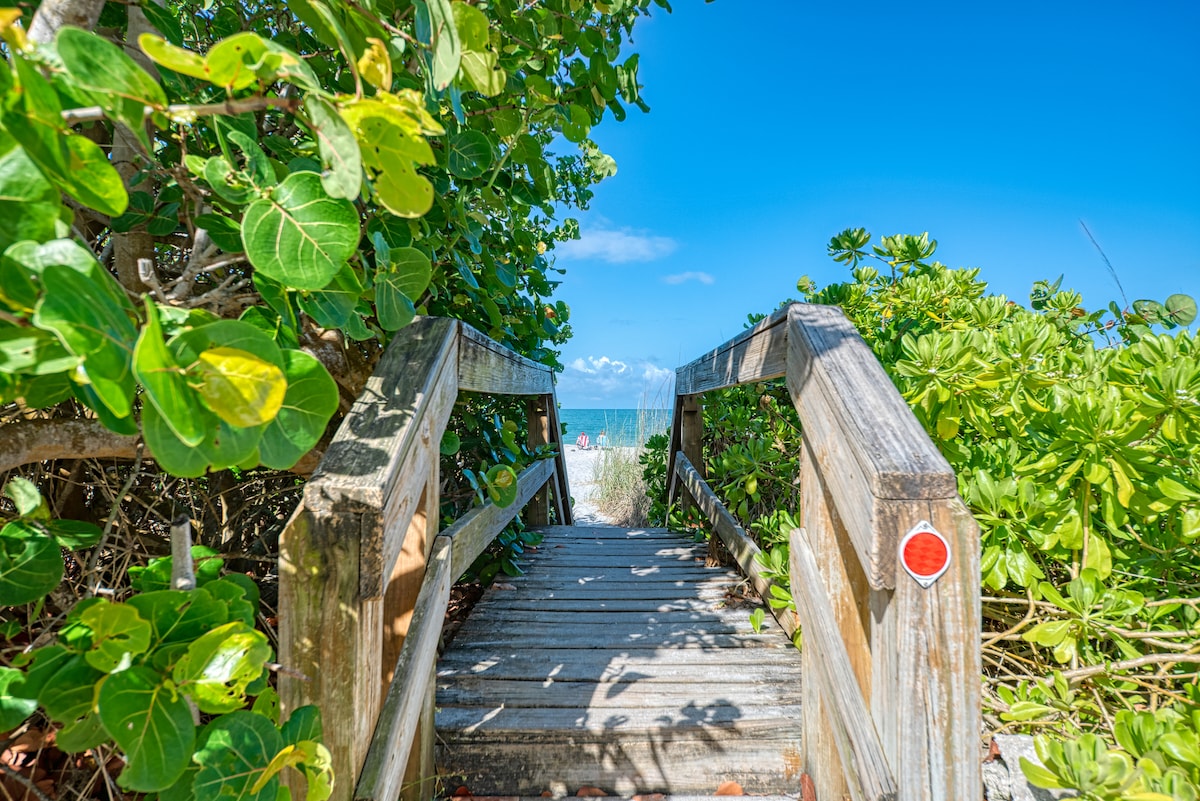 A wooden boardwalk leads through lush greenery towards a sandy beach. The blue sky and ocean are visible at the end of the pathway, suggesting a serene coastal environment. Sunlight casts a warm glow on the natural surroundings.
