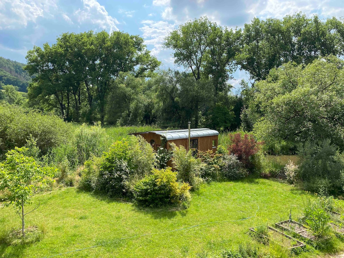 A wooden house is nestled among lush greenery, surrounded by various plants and trees. Sunlight filters through the leaves, casting a serene ambiance over the expansive garden. The structure features a curved roof, blending harmoniously with the natural landscape.