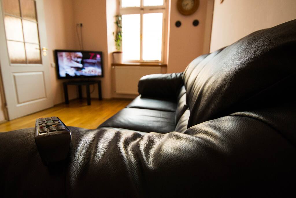 There is TV and very comfortable sofa