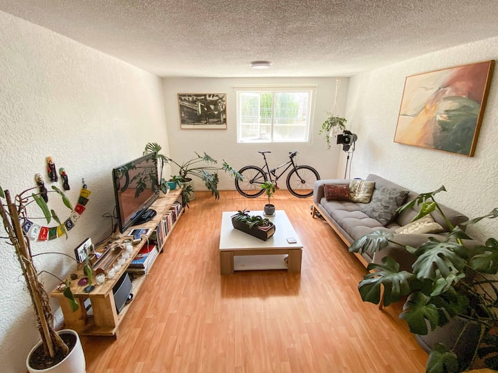 Beautiful Apartment walking from the center of Coyoacan Apartments