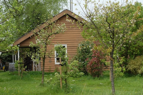 Bungalow, 15 km from Amsterdam,  in the nature.