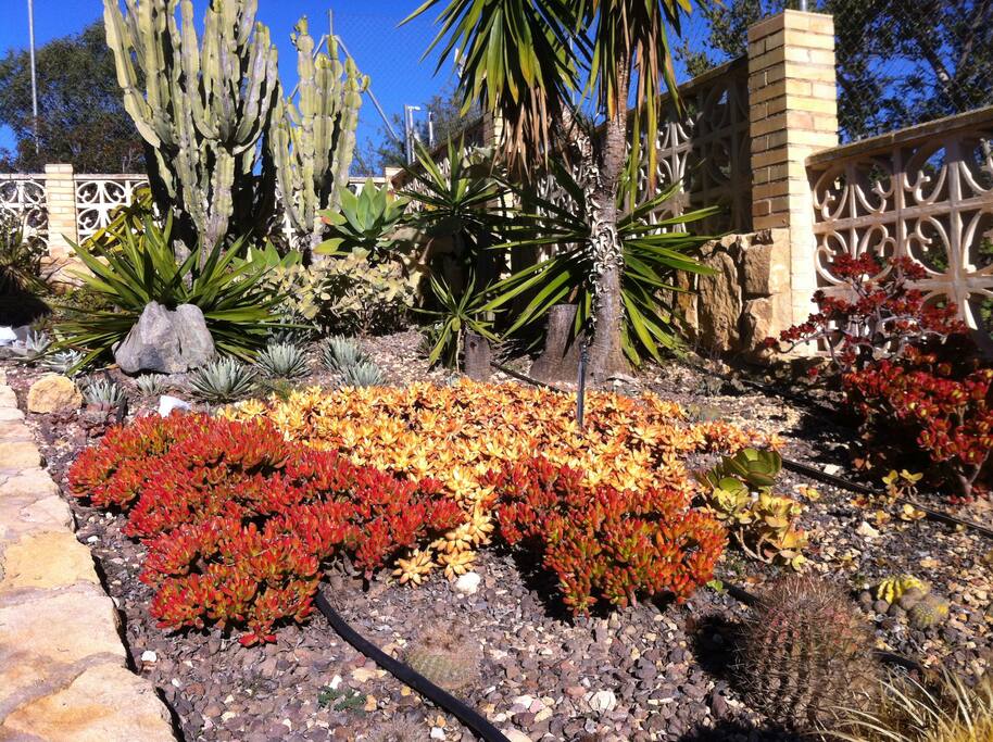 Jardín de grasas