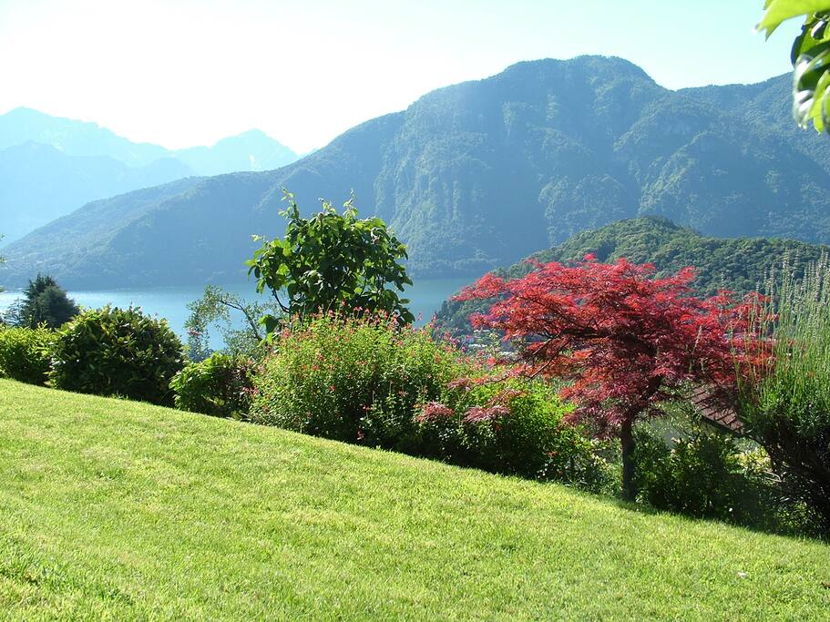 The garden is 500 mq