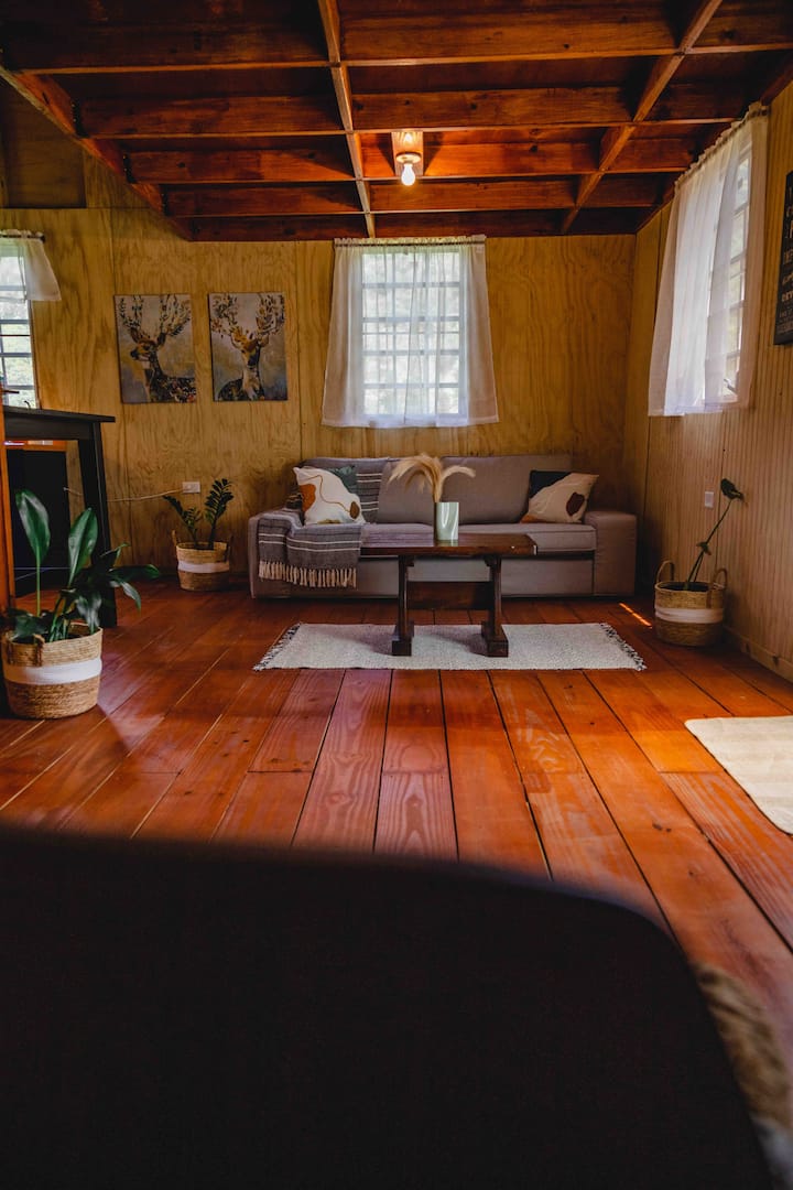 Hidden Paradise Cabin | Romantic Forest Retreat - Puerto Rico