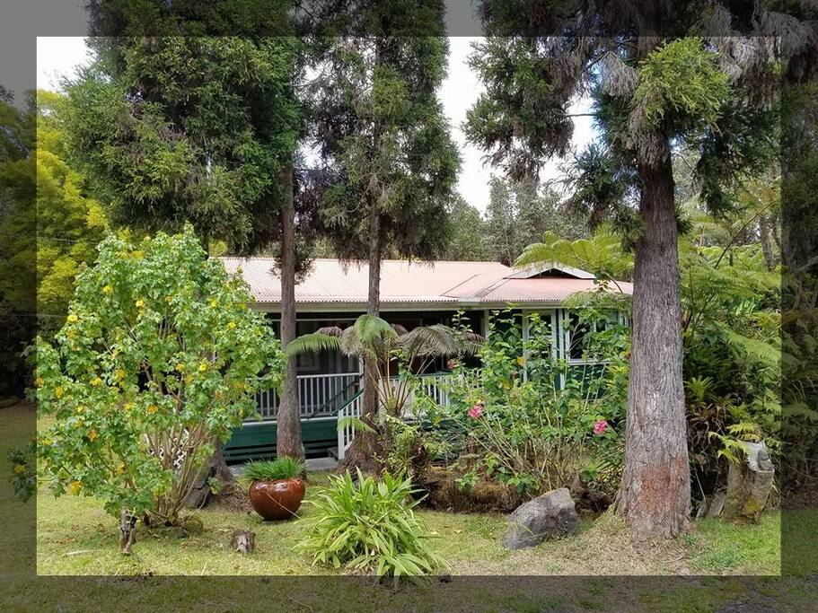 Aloha Liona Place