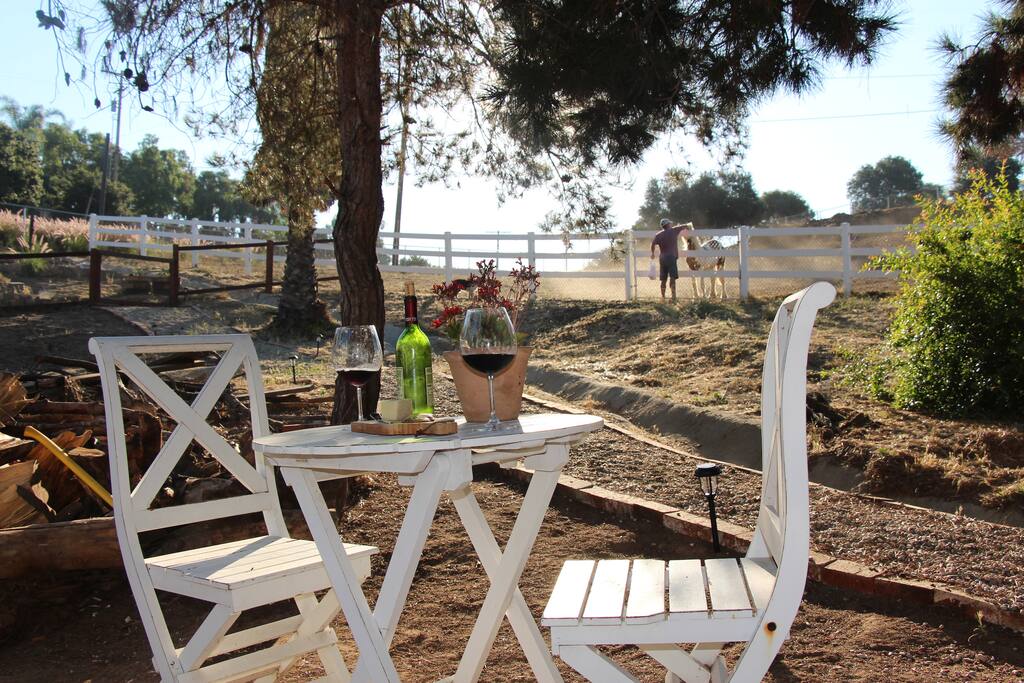 relax outside with view of the horses