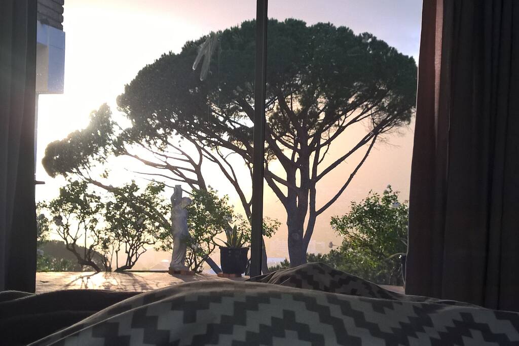 Morning view from Bedroom