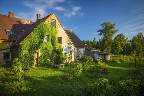 U Kyslika - room #2 - simple life, Garden of Flow
