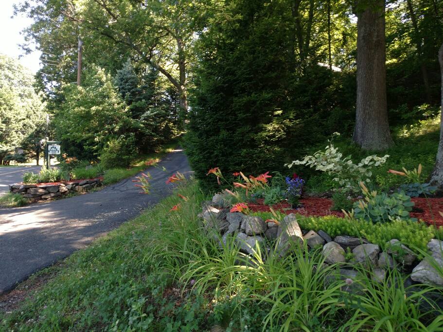 another view of the front driveway