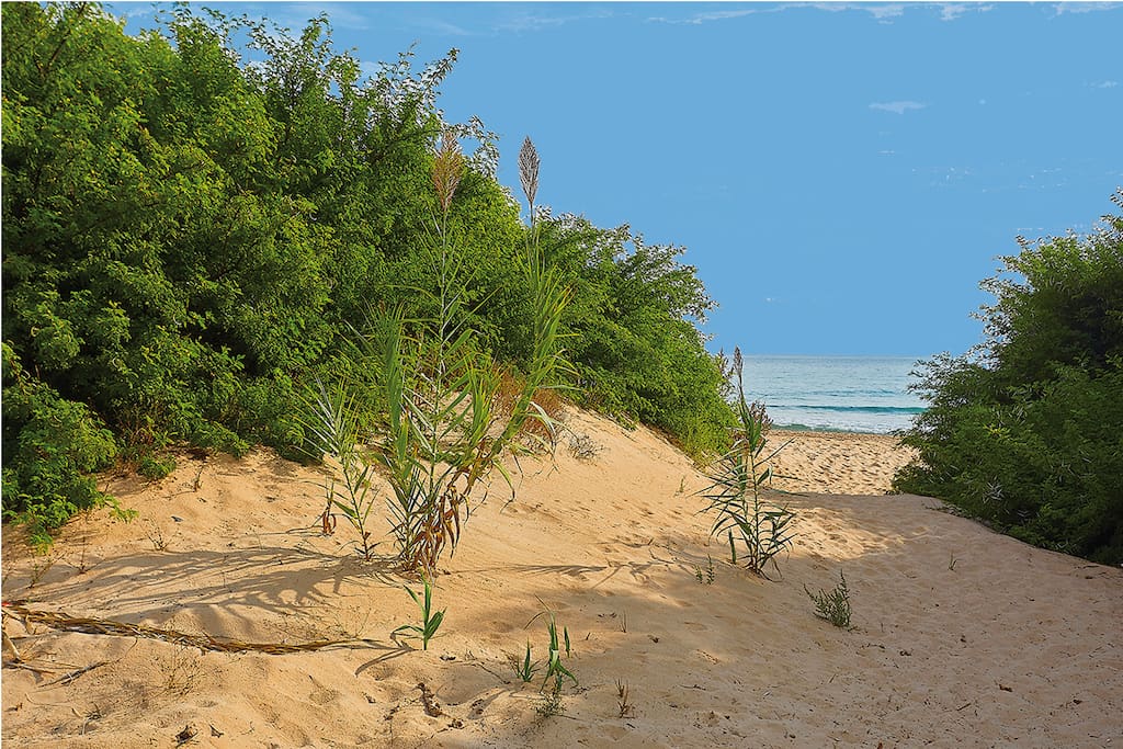 Path to Lido Fiori beach