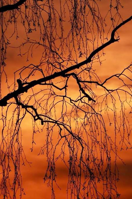 Abendstimmung