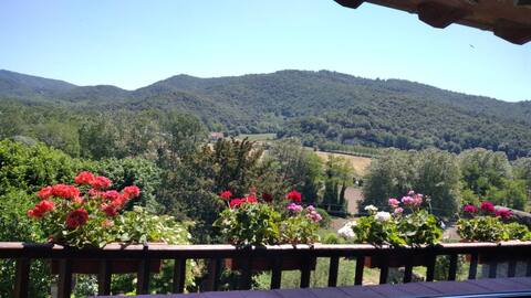 Entire house with pool and barbecue in Vall d'En Bas