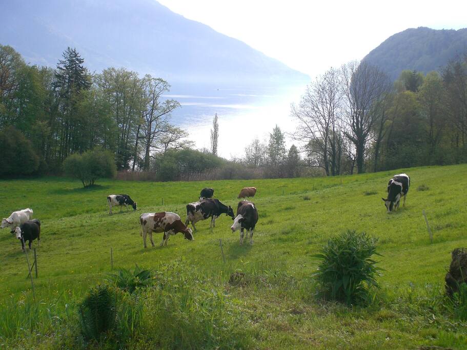 2 Ausblick vom Sitzplatz