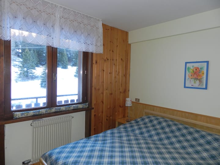Apartment in the Dolomites, near ski slopes
