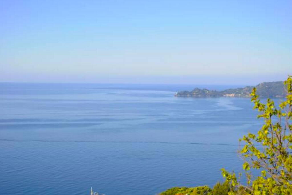 panorama