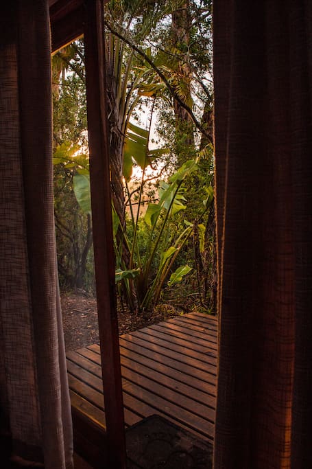 Sunrise through the curtains Inala Cottage