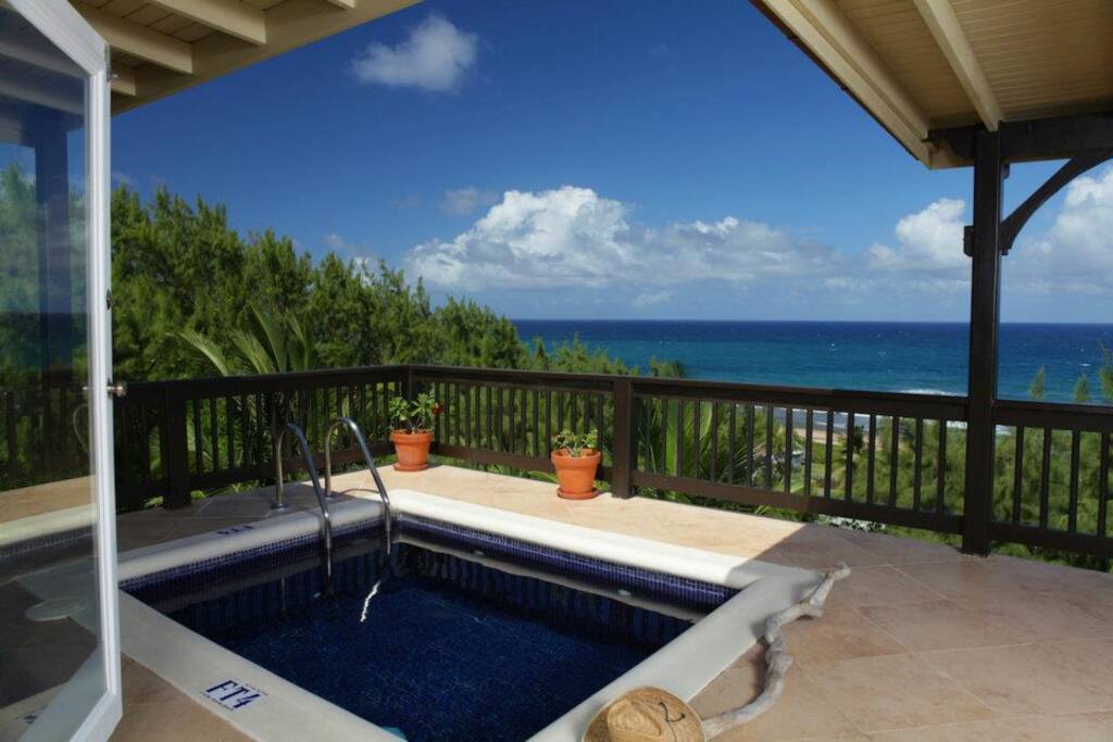 Plunge Pool